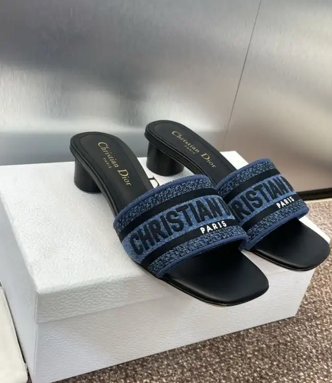 hype Christian Dior Slippers