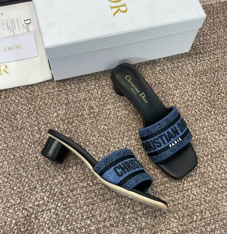 hype Christian Dior Slippers