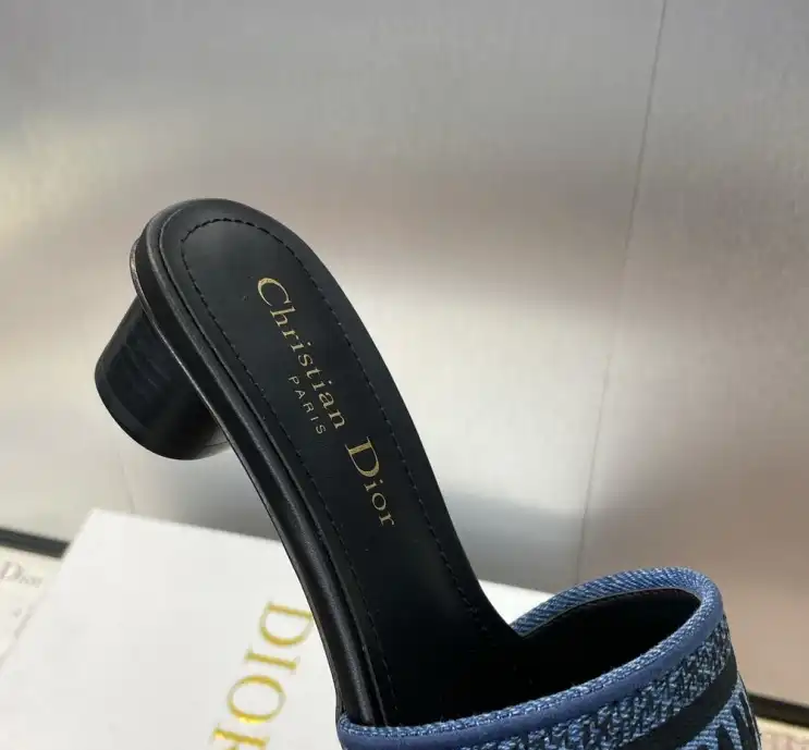 hype Christian Dior Slippers