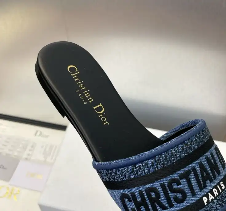 hype Christian Dior Slippers