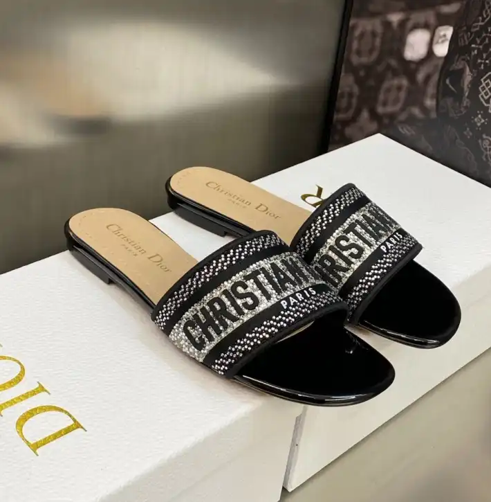 hype Christian Dior Slippers