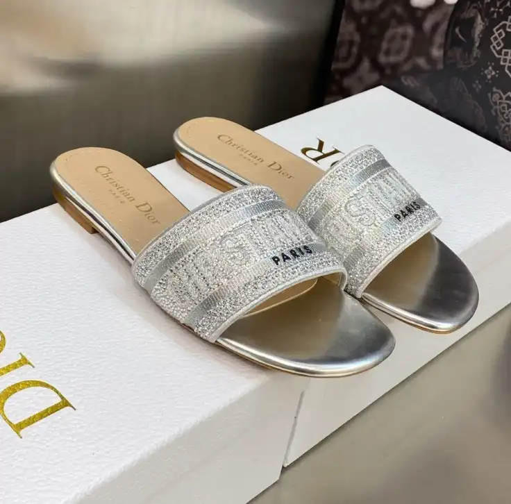 hype Christian Dior Slippers