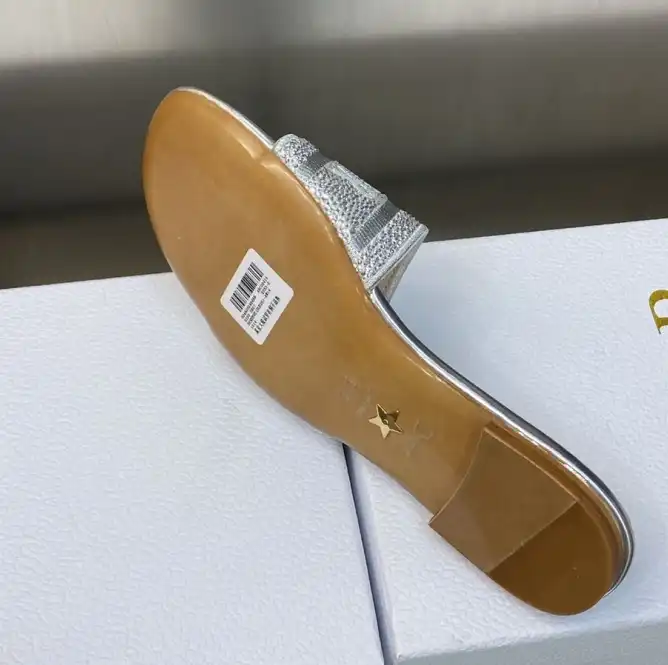 hype Christian Dior Slippers