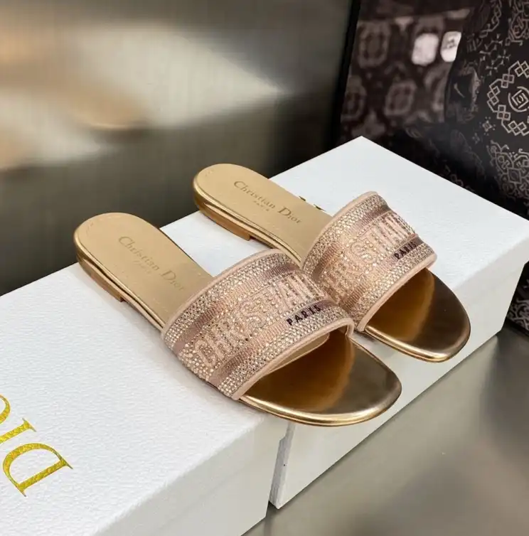 hype Christian Dior Slippers