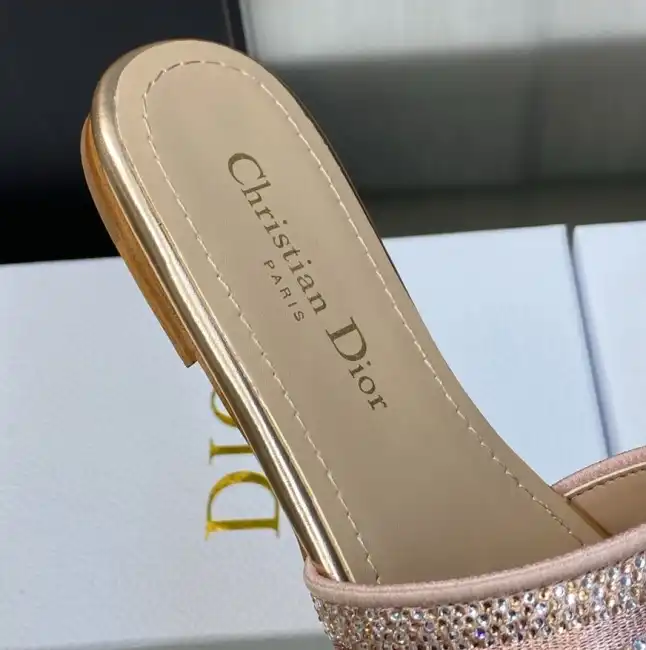 hype Christian Dior Slippers