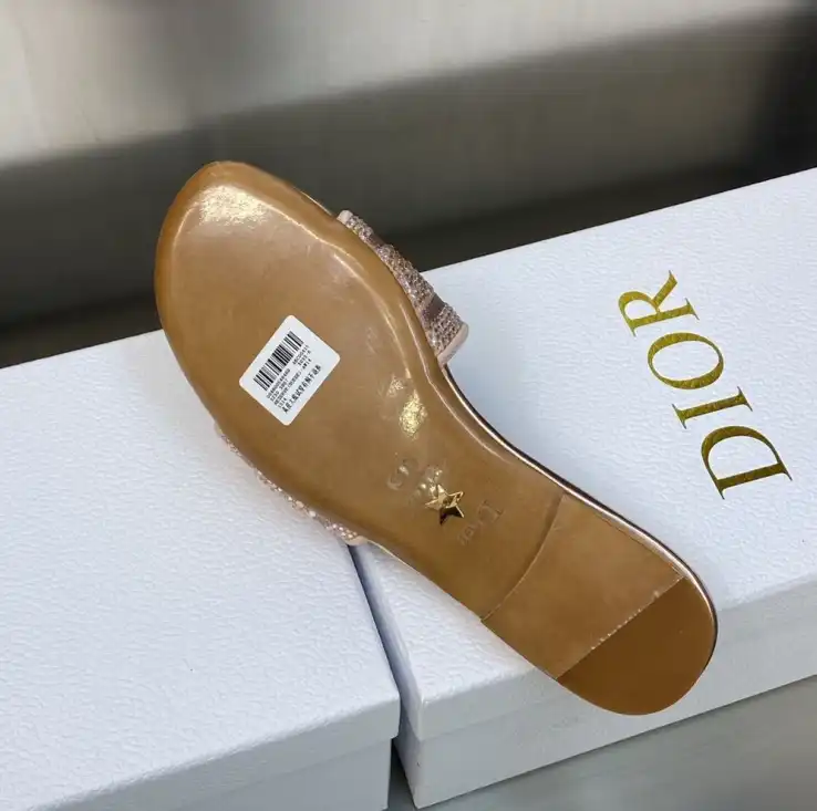 hype Christian Dior Slippers