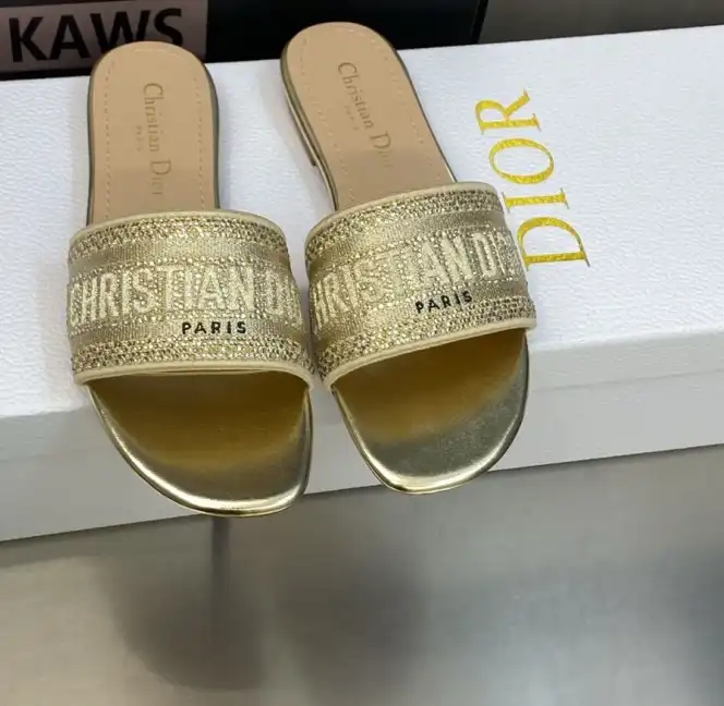 hype Christian Dior Slippers