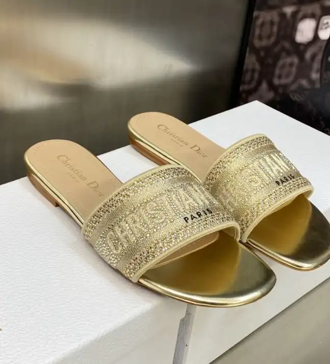 hype Christian Dior Slippers