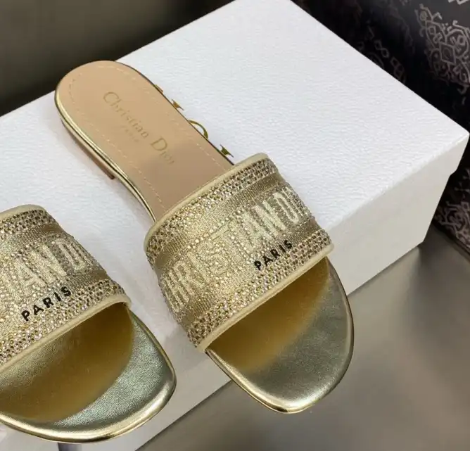 hype Christian Dior Slippers