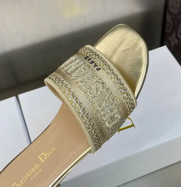 hype Christian Dior Slippers