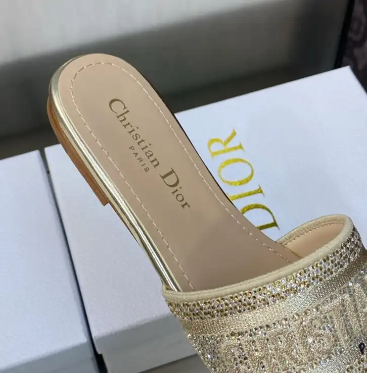 hype Christian Dior Slippers