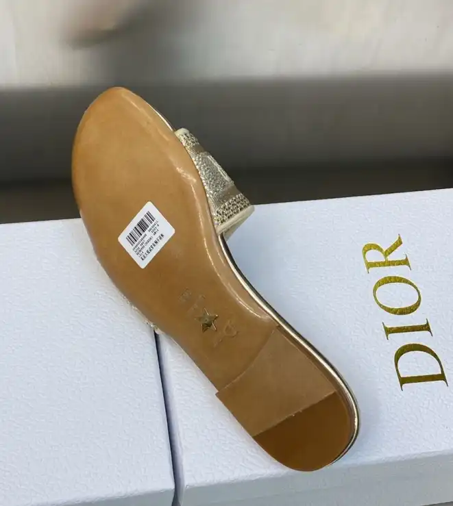 hype Christian Dior Slippers