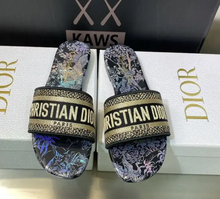 hype Christian Dior Slippers