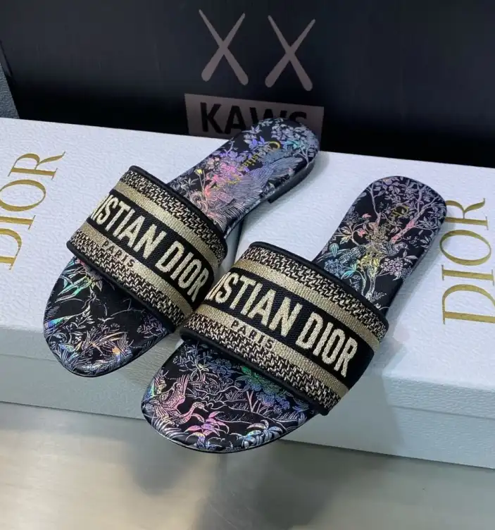 hype Christian Dior Slippers