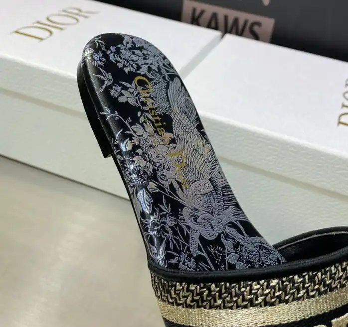 hype Christian Dior Slippers