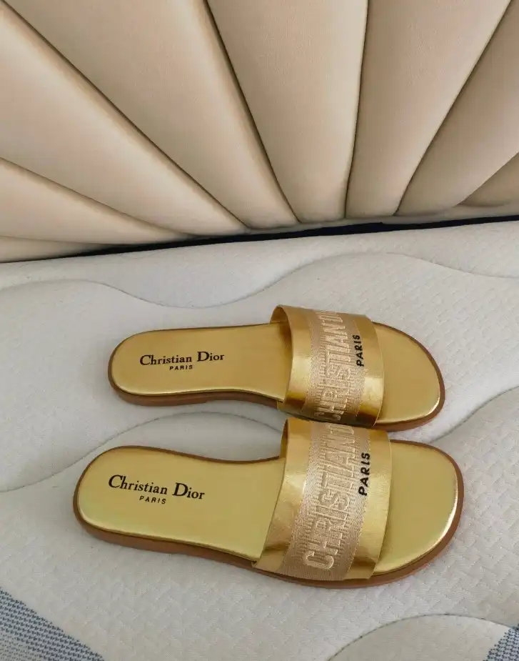 hype Christian Dior Slippers