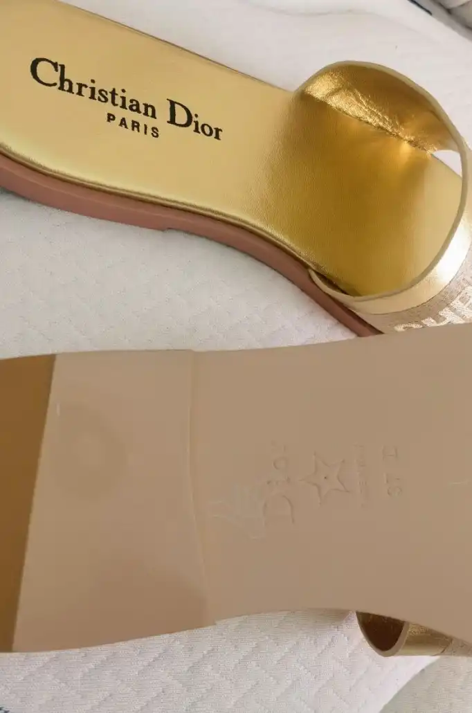 hype Christian Dior Slippers