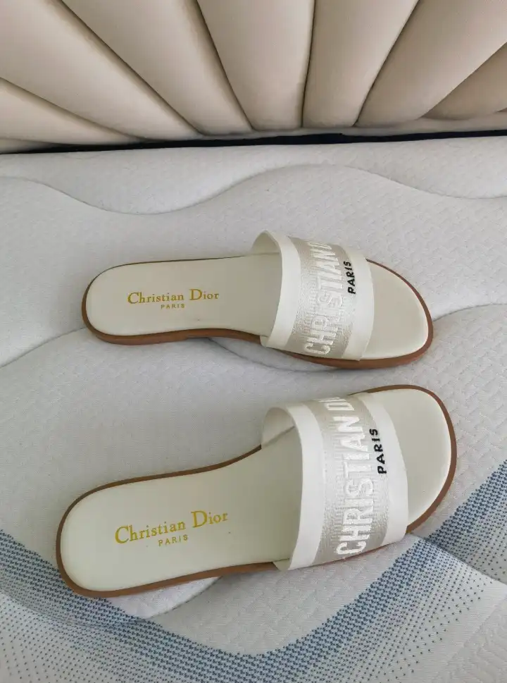 hype Christian Dior Slippers