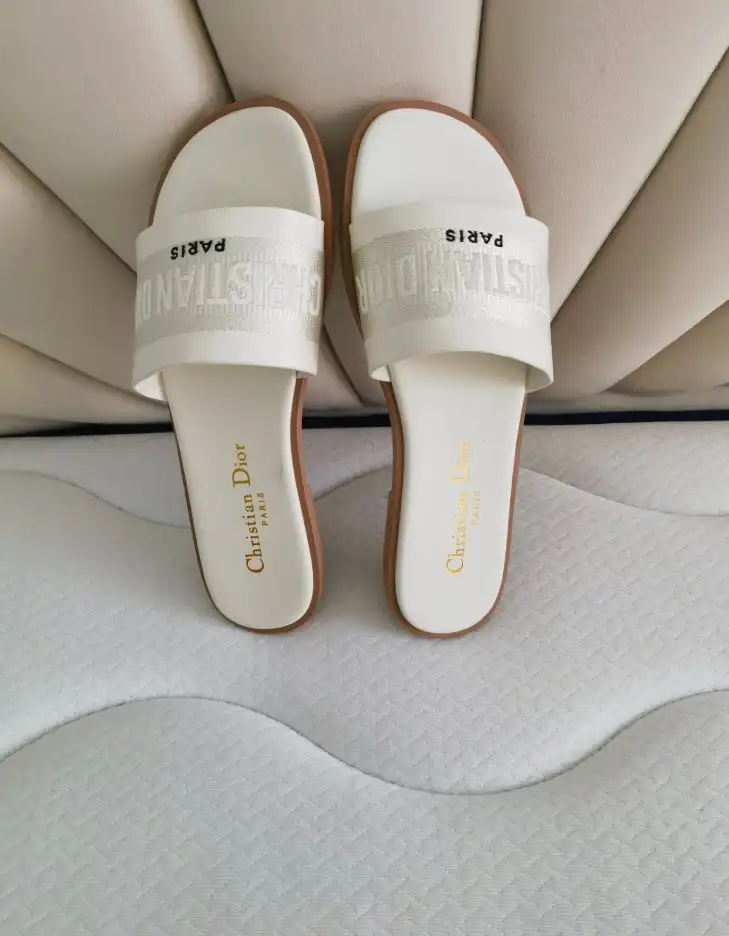 hype Christian Dior Slippers