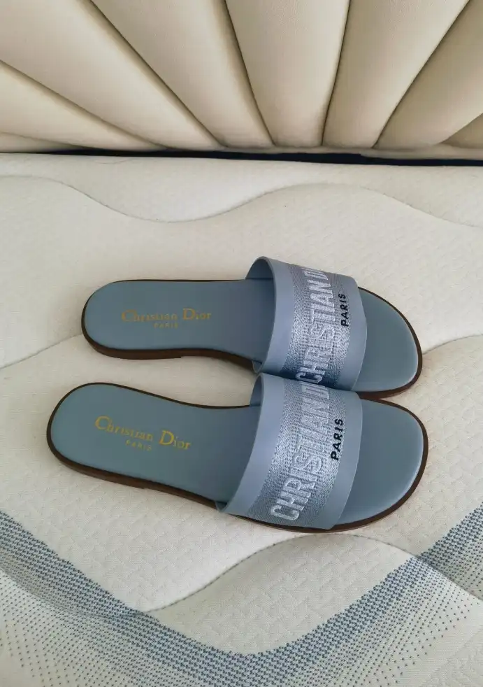 hype Christian Dior Slippers