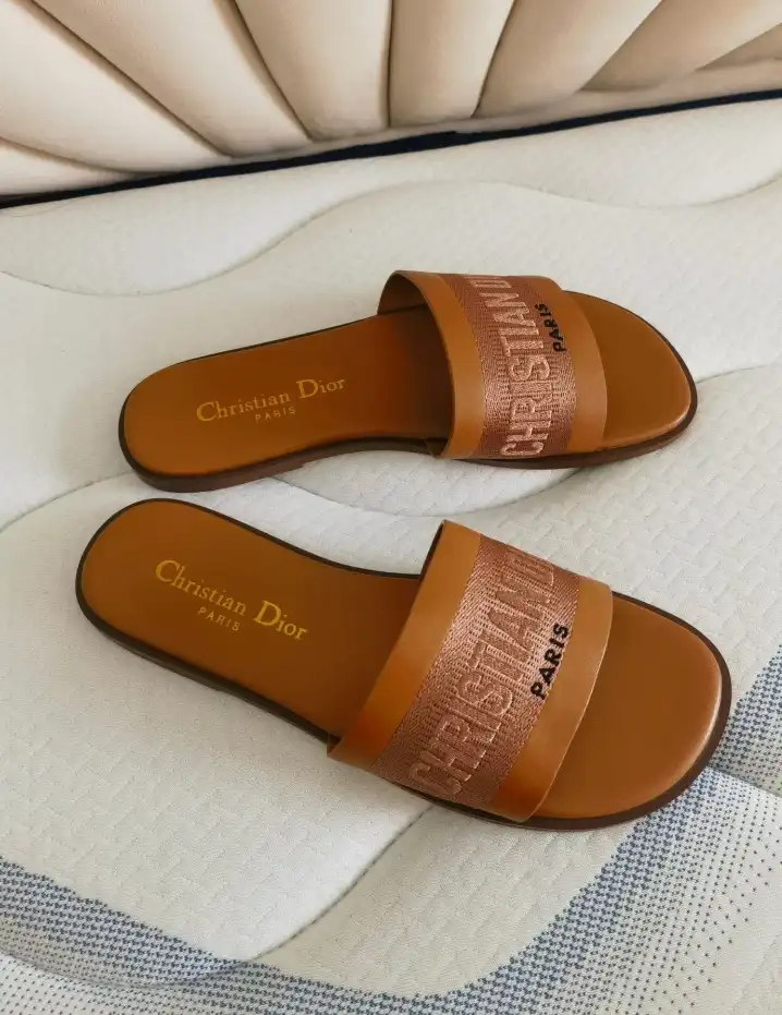 hype Christian Dior Slippers