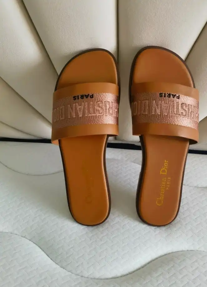 hype Christian Dior Slippers