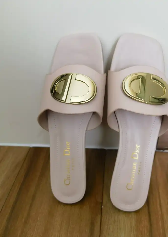 hype Christian Dior Slippers