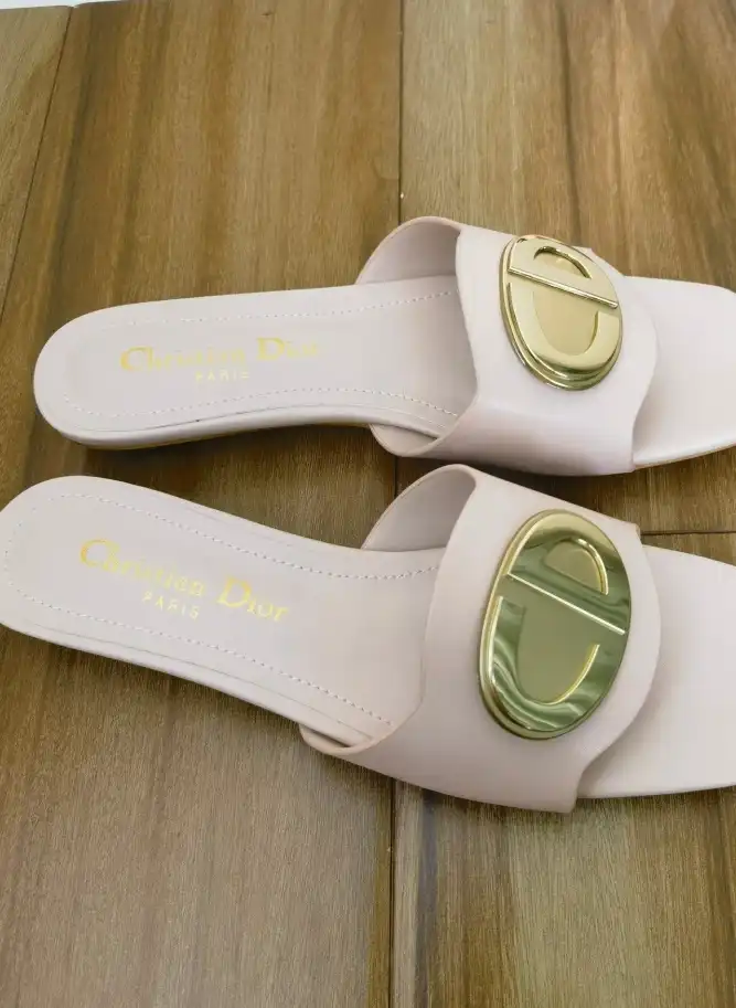 hype Christian Dior Slippers