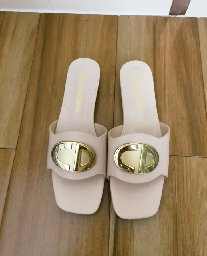 hype Christian Dior Slippers