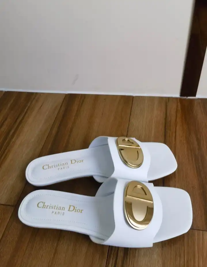 hype Christian Dior Slippers