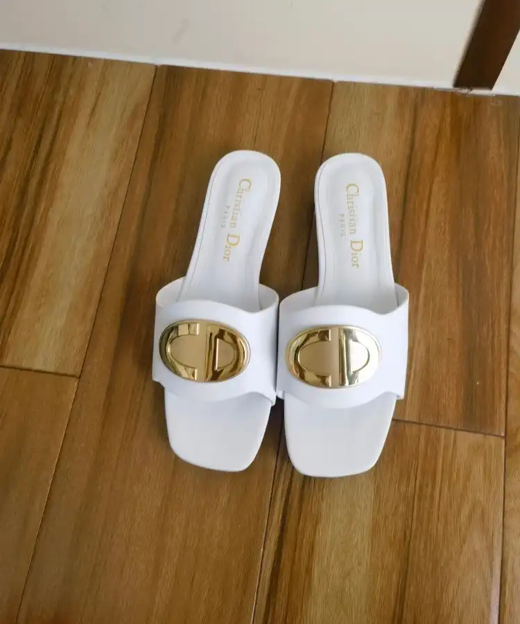 hype Christian Dior Slippers