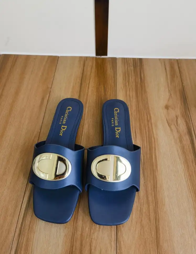 hype Christian Dior Slippers