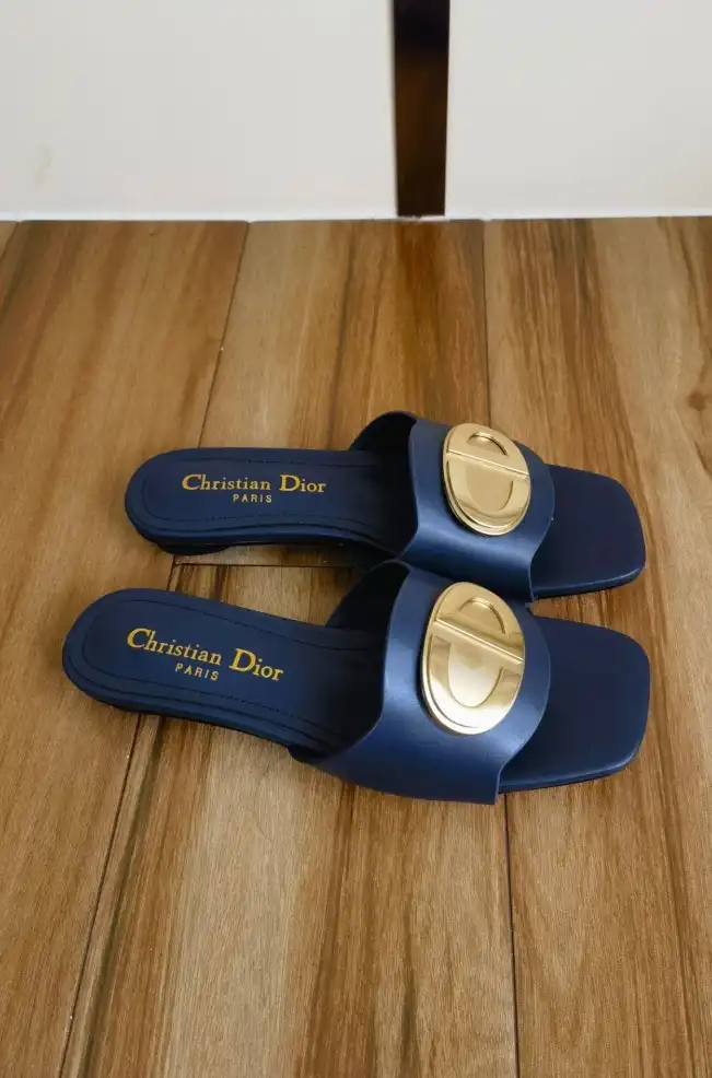 hype Christian Dior Slippers