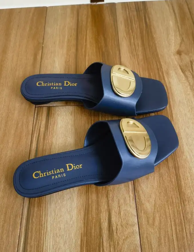 hype Christian Dior Slippers