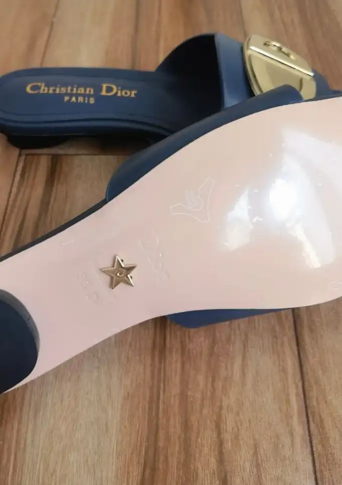 hype Christian Dior Slippers