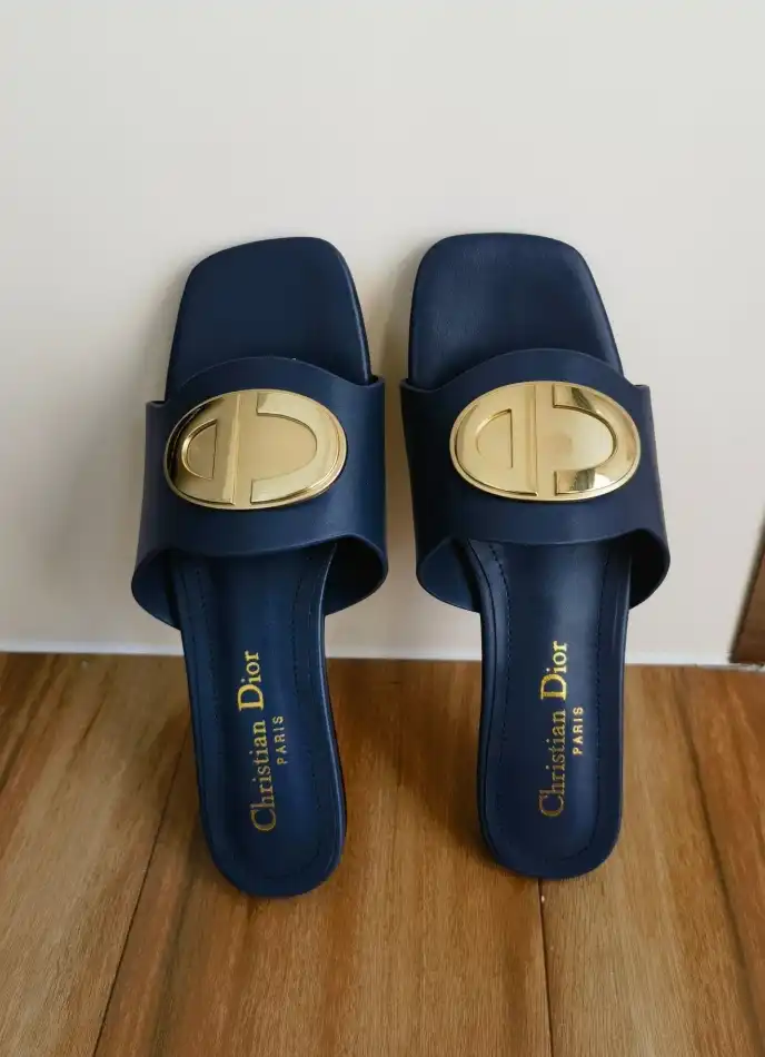 hype Christian Dior Slippers