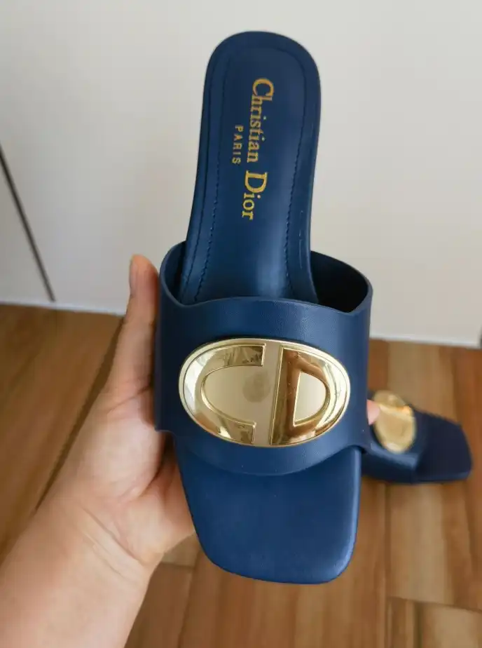 hype Christian Dior Slippers