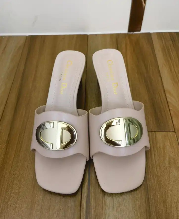 hype Christian Dior Slippers