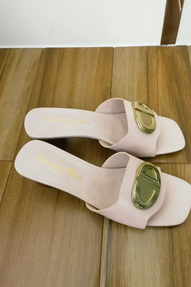 hype Christian Dior Slippers