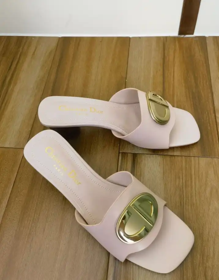 hype Christian Dior Slippers