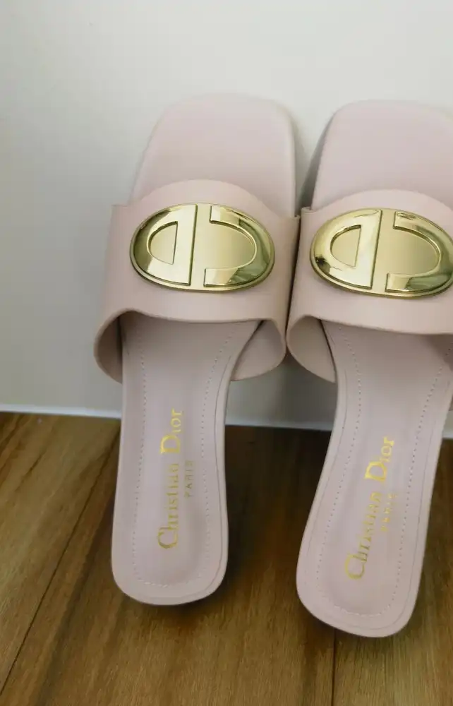 hype Christian Dior Slippers