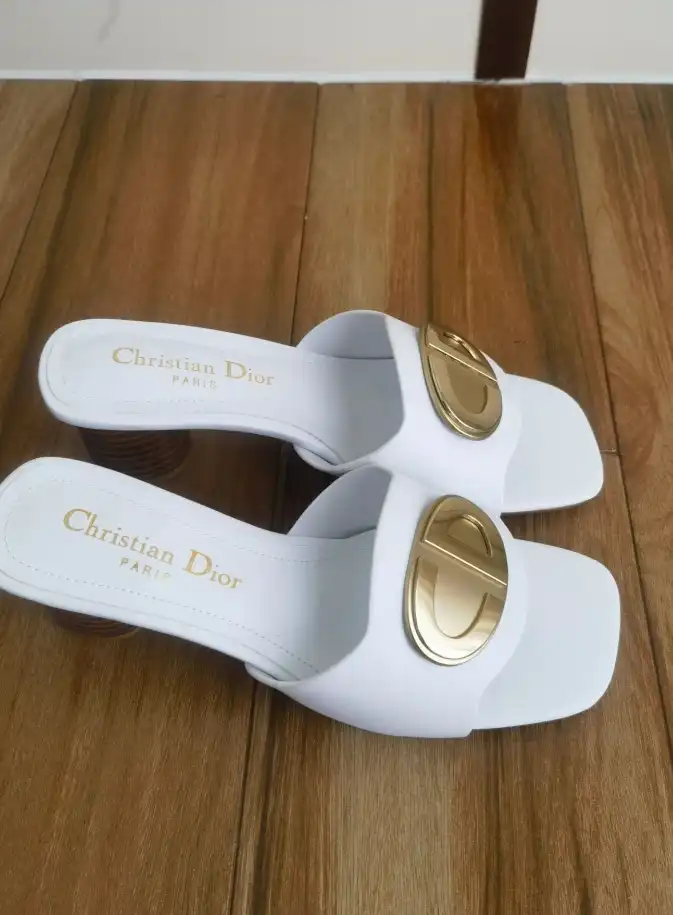 hype Christian Dior Slippers