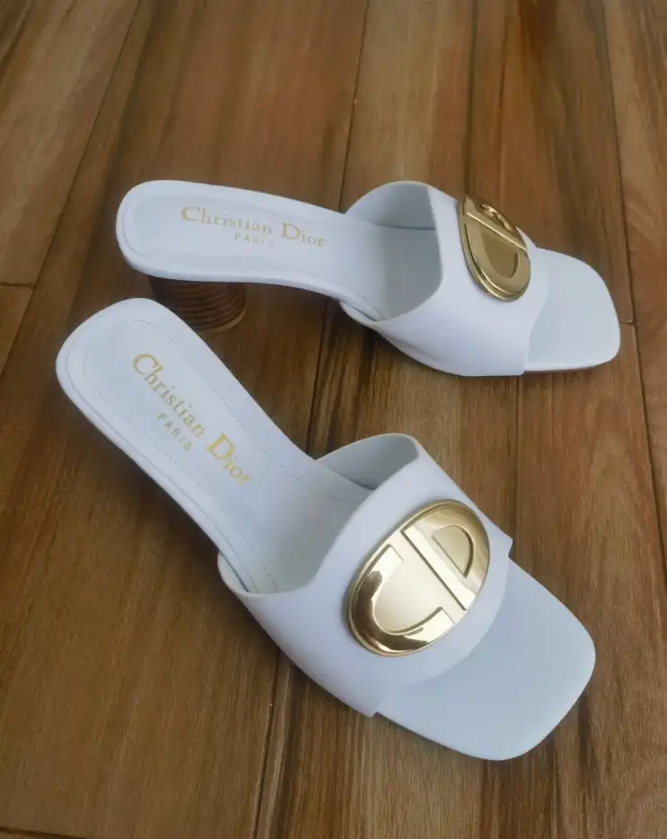 hype Christian Dior Slippers