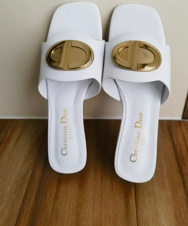 hype Christian Dior Slippers