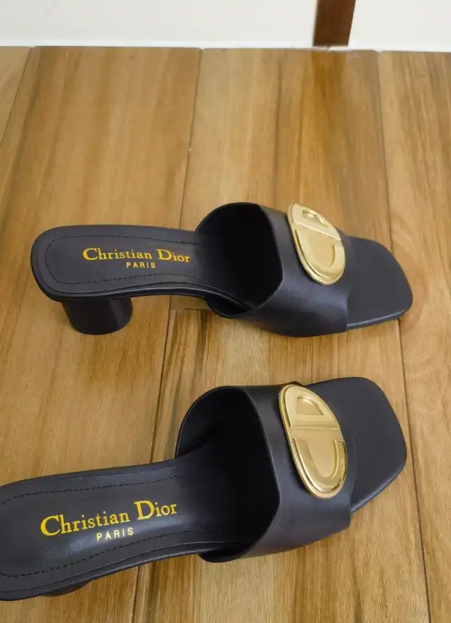 hype Christian Dior Slippers