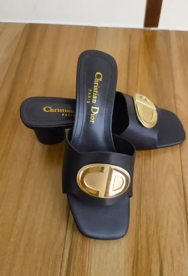 hype Christian Dior Slippers