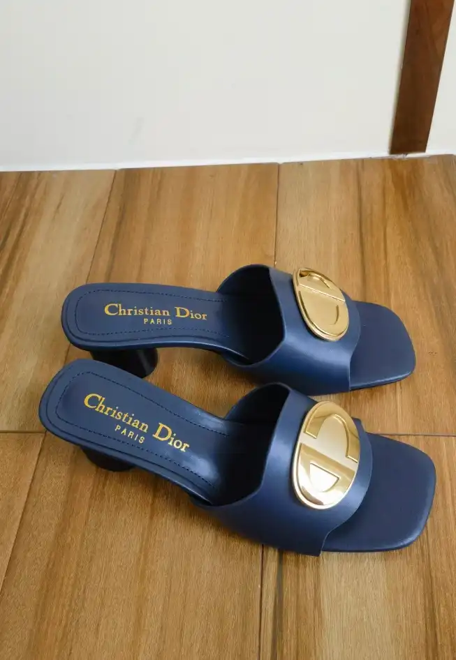 hype Christian Dior Slippers