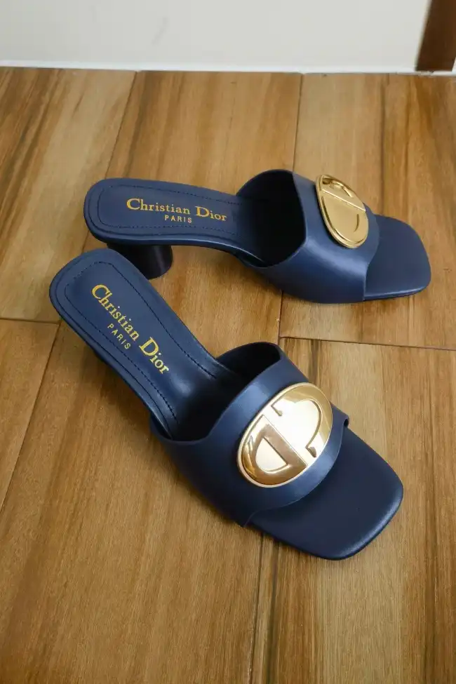 hype Christian Dior Slippers