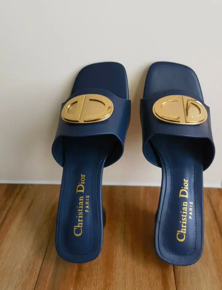 hype Christian Dior Slippers