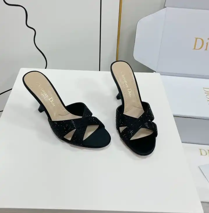 hype Christian Dior Slippers